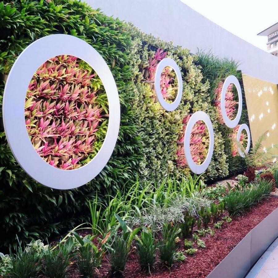 小庭院院落垂直绿化植物墙设计案例-室外植物墙-天海