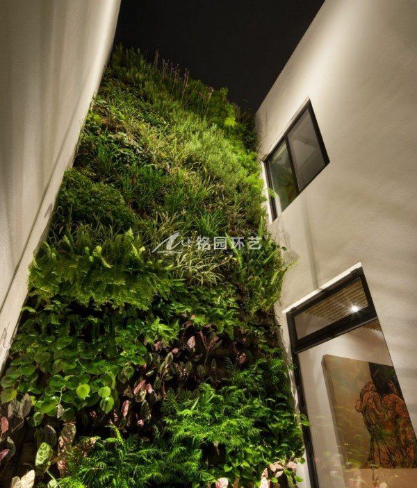 10个家庭室内外小庭院垂直绿化景观案例