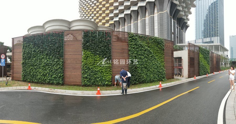 横琴商业中心,室外外墙围挡植物墙垂直立体绿化 成都天海铭园