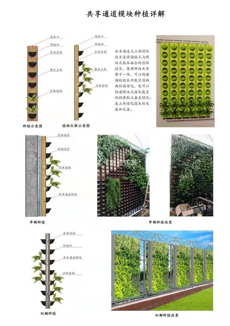 植物墙塑木岩棉共享通道