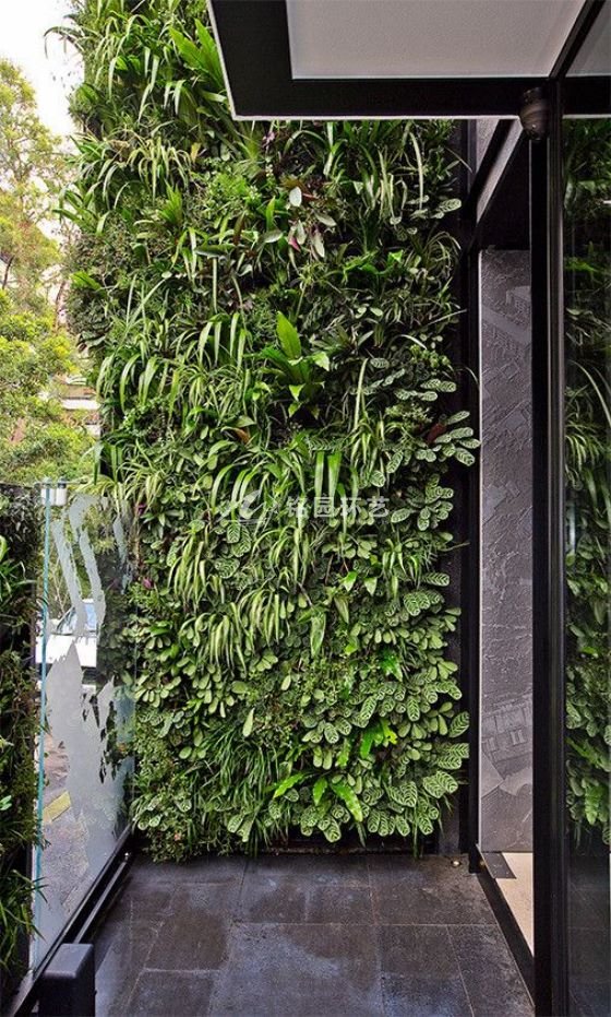 14个阳台植物墙案例,打造休闲静谧的专属空间