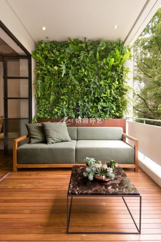阳台垂直绿化还能搭配一些阔叶绿植造景,让简约装饰风格更生动,更有