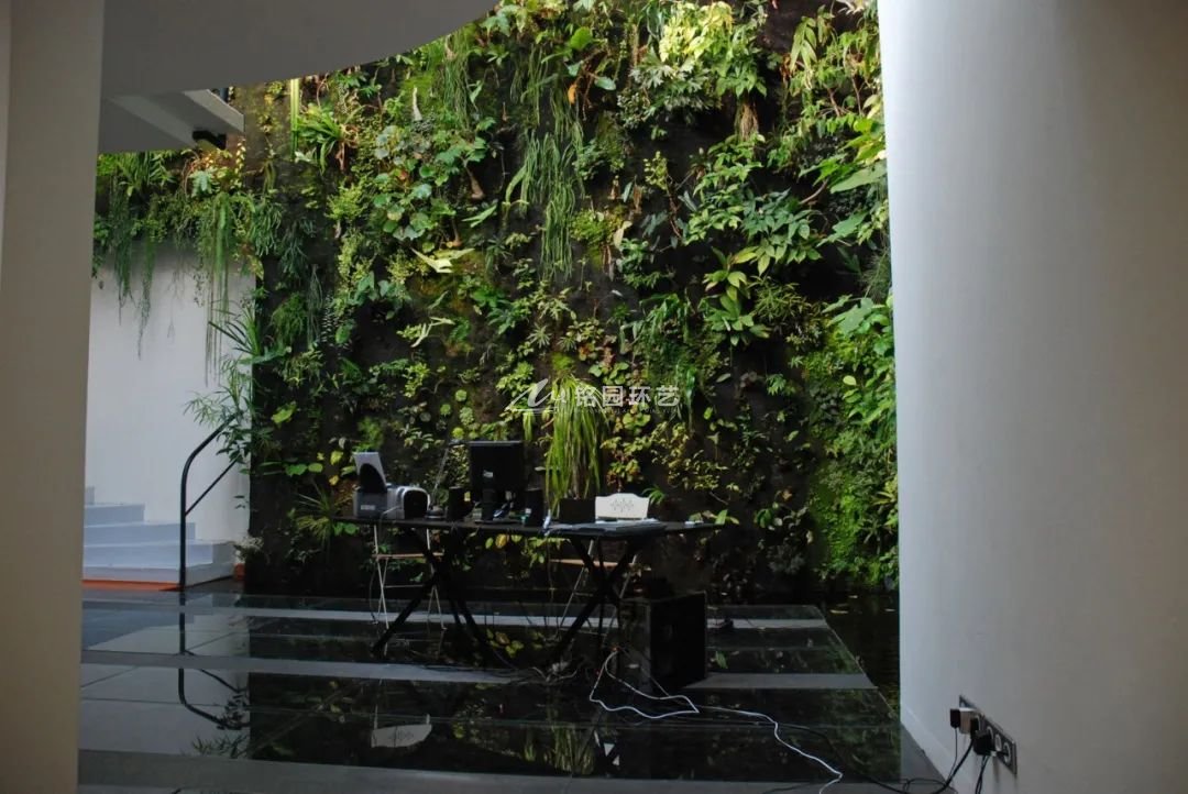 让植物墙更有趣味的设计 行业资讯 天海铭园植物墙
