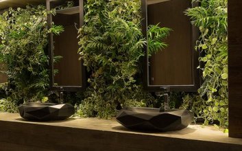 9个卫生间浴室植物墙设计案例分享 行业资讯 天海铭园植物墙