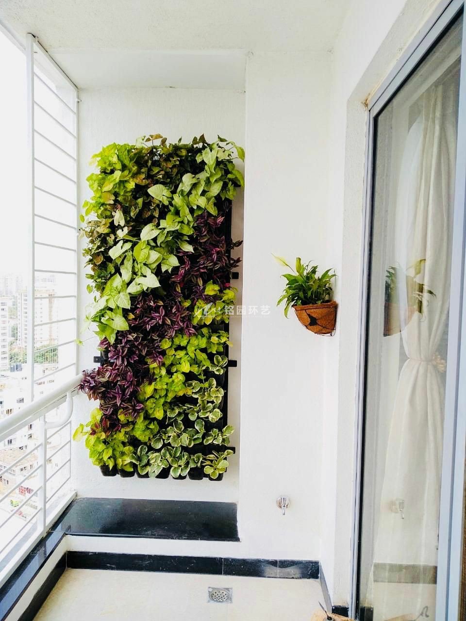 20 阳台绿化植物墙设计案例分享 