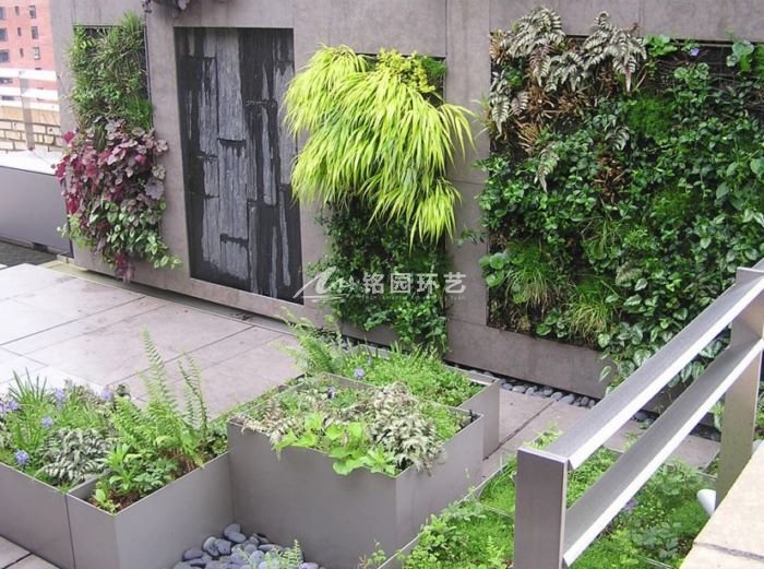 为什么需要植物墙